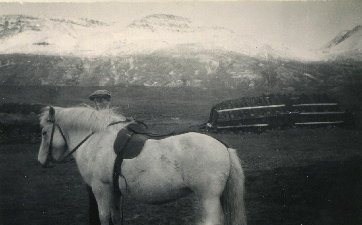 Hesthús vinstra megin á myndinni og fjárhús ofar og nær bæ