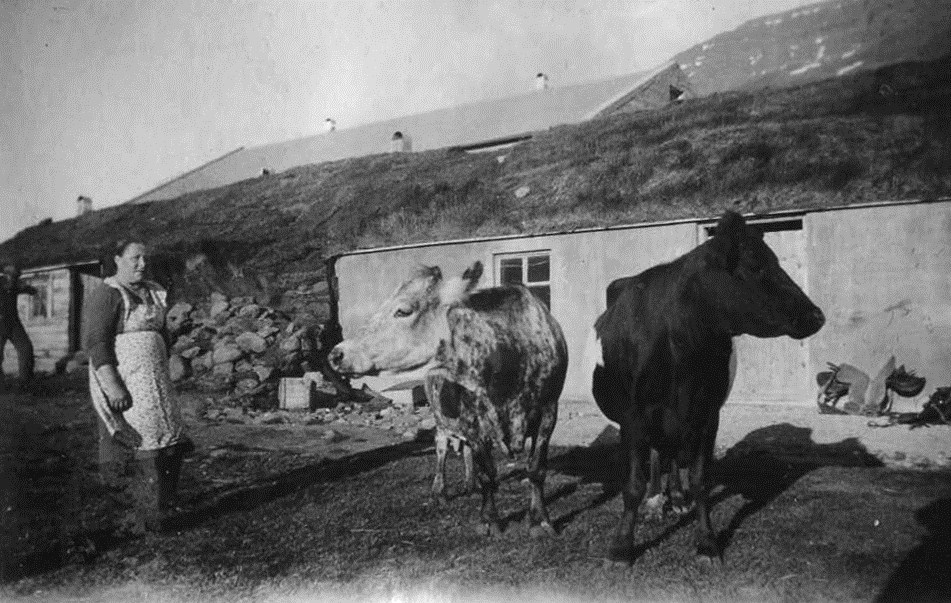 Fjós og framlengd baðstofa um 1939