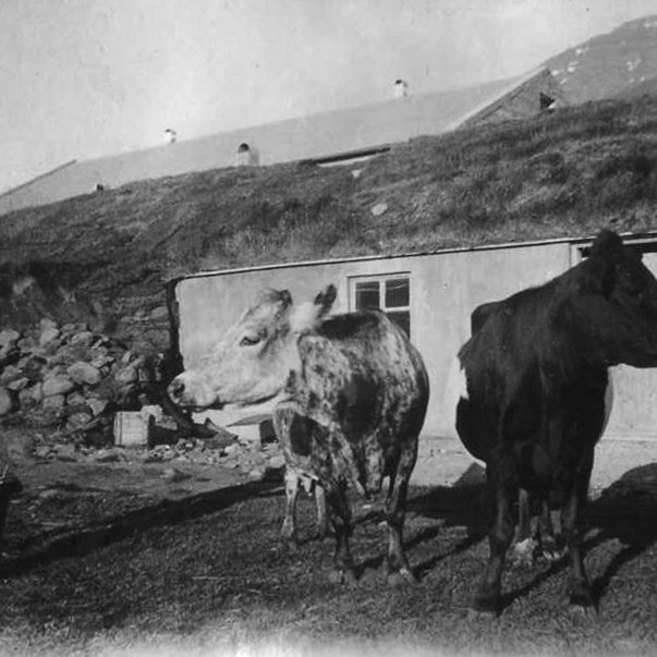 Garðshorn um 1940