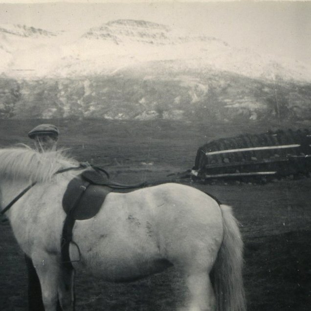 Steindór með hest