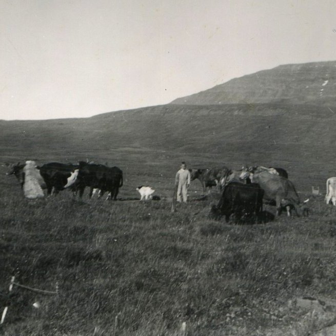 Steini og kaupamaður