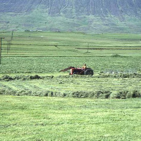 Heyskapur eftir 1967