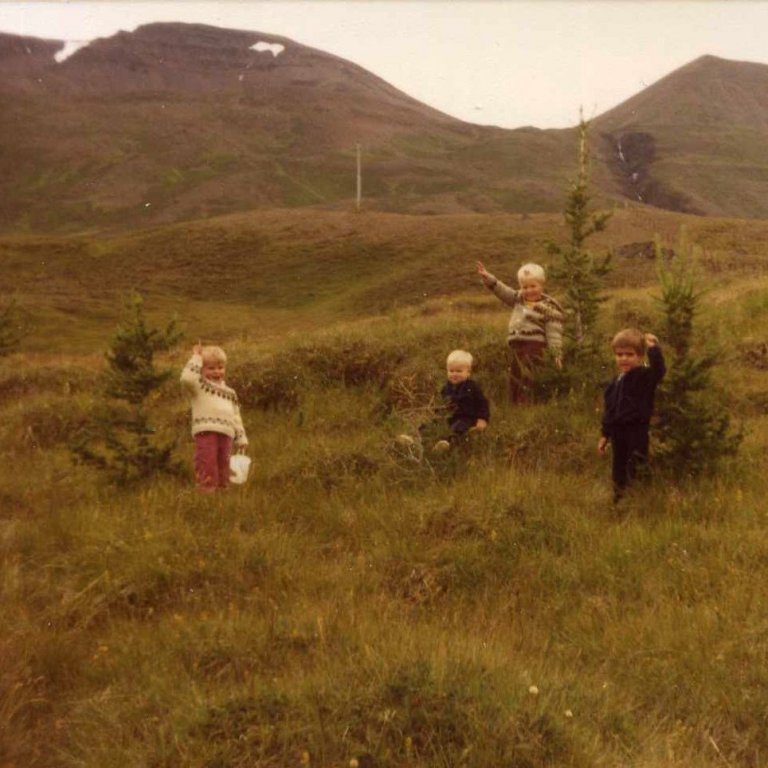 Í Garðshorni 1981