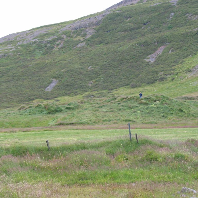 Botn í Mjóafirði 2006